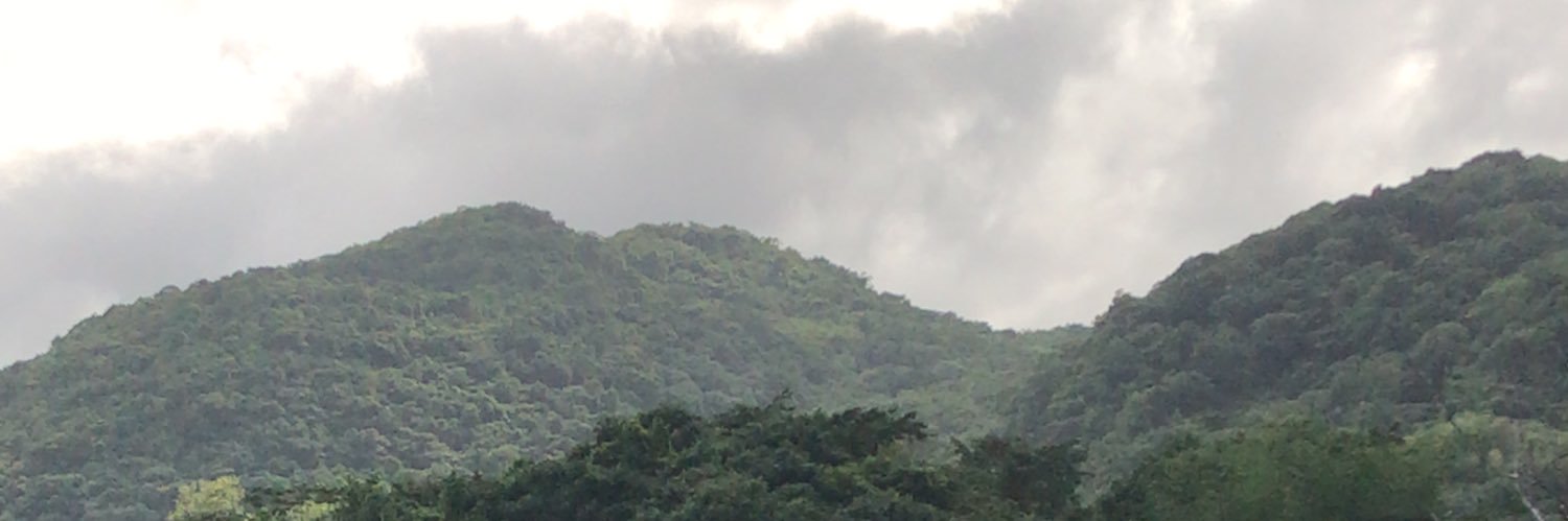 T_Dunks's profile banner image