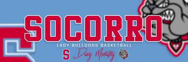 LadyBulldogs_S Profile Banner
