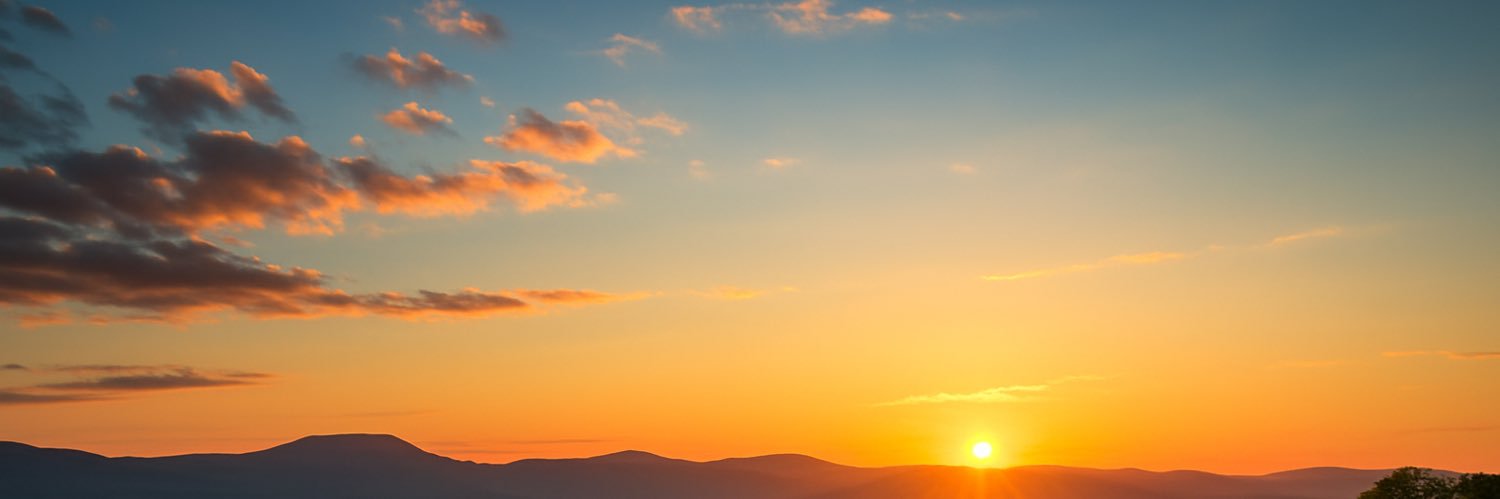 Tatiana Machado banner