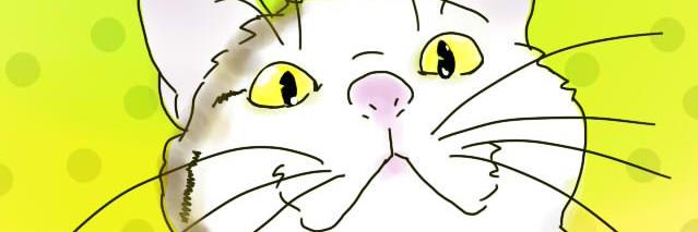 kosa_midi's profile banner image