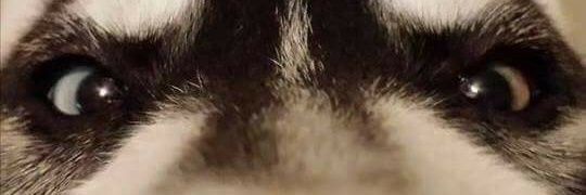 jontp1002's profile banner image