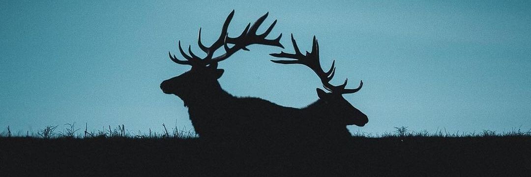 bi_nam19's profile banner image