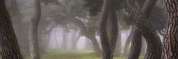 🎗 고운길 banner