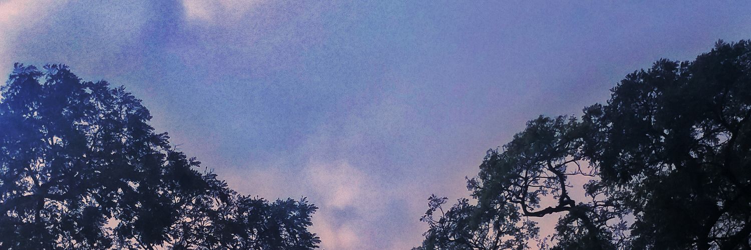 _rileyfenruz's profile banner image