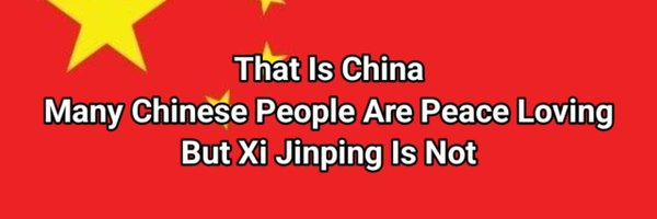 That_isChina Profile Banner