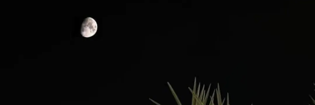 Mariam •'s banner