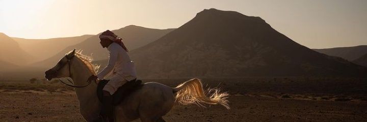 Slem Harrizona banner