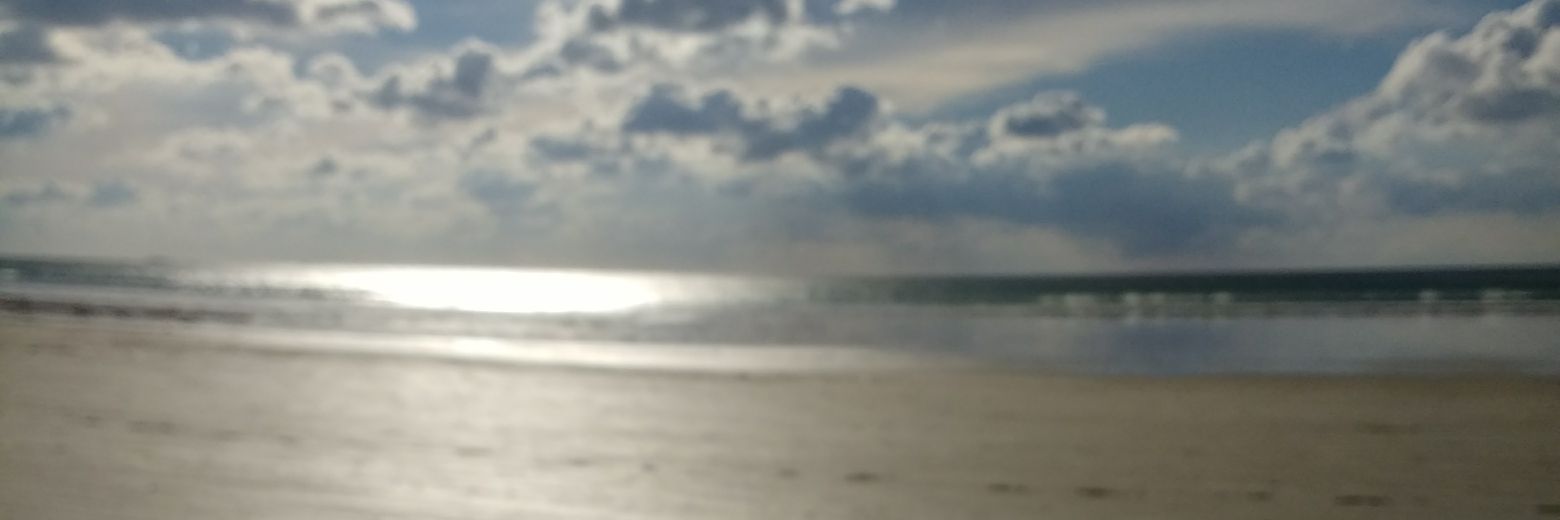 Claire Vautrin banner