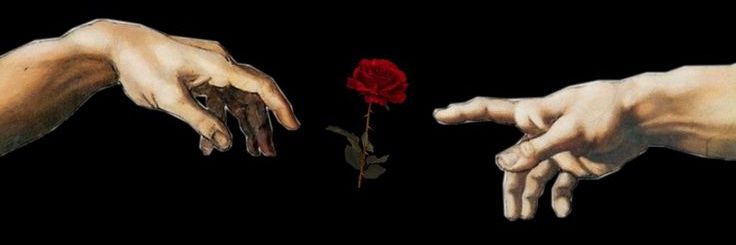 Black Rose 🌹 banner