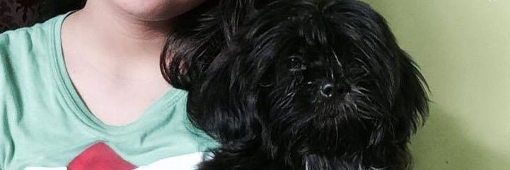 KharenMoog's profile banner image