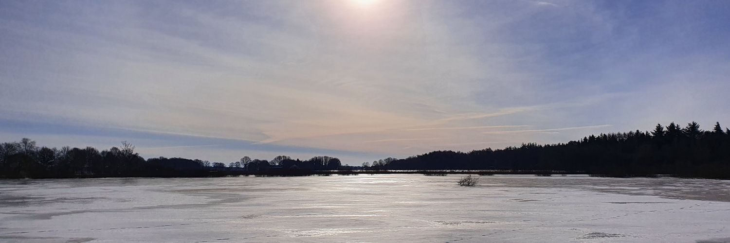 Miriam McCabe banner