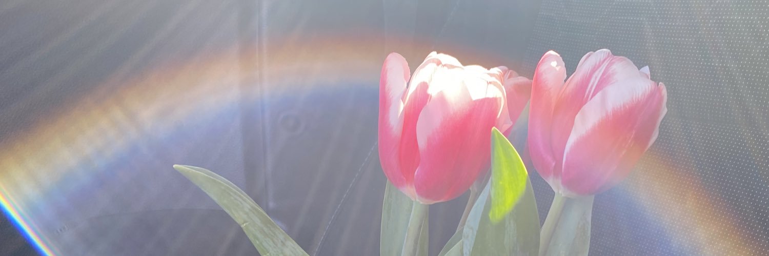 Mijmx's profile banner image