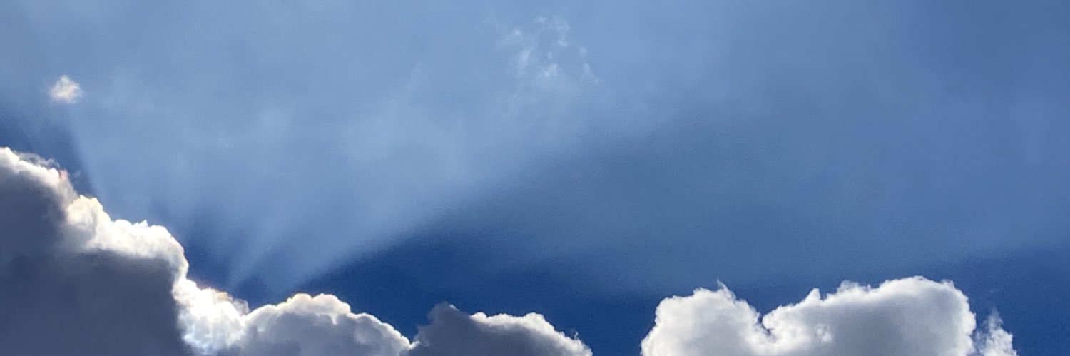 TaoOf42's profile banner image