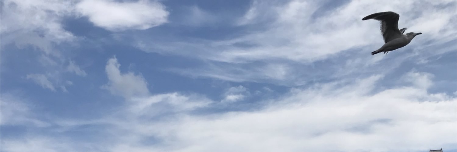 erinyaaa63's profile banner image