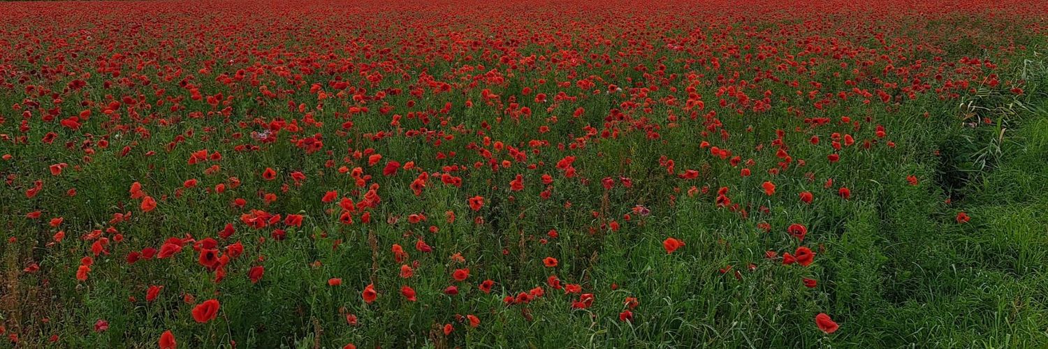 Eric 🇳🇱 banner