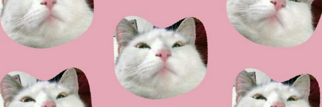 Pando_Lineb's profile banner image