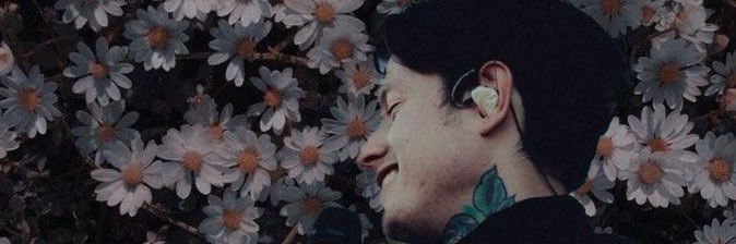 catthemermaid's profile banner image