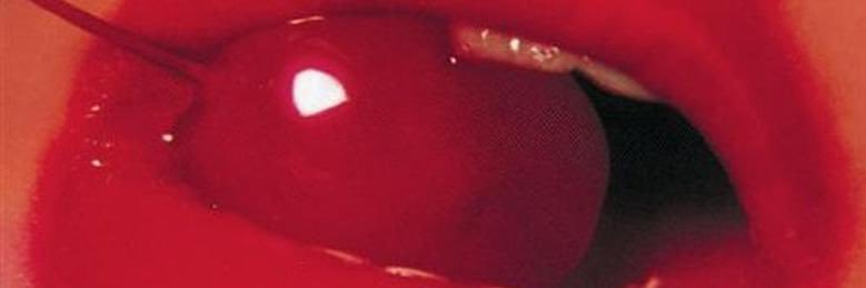 ☆ ✧'s banner