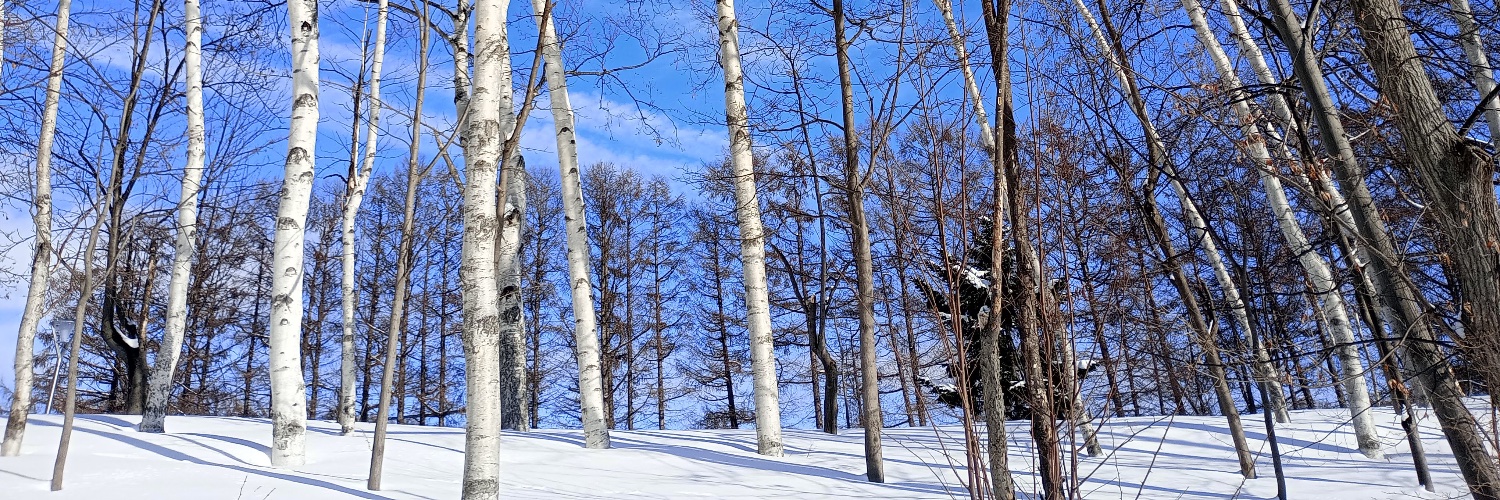 nogana's profile banner image