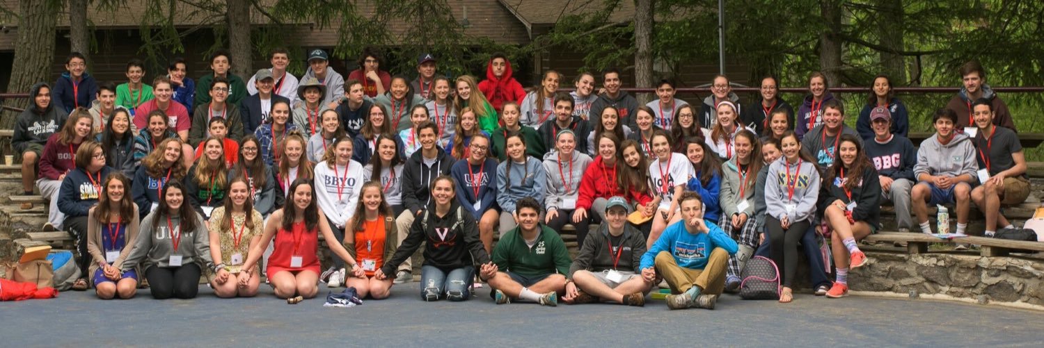 BBYO NoVACouncil #50 banner