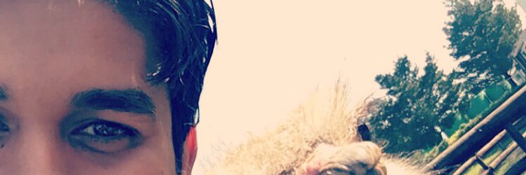 midootayeb300's profile banner image