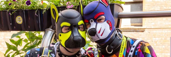 puptauri Profile Banner