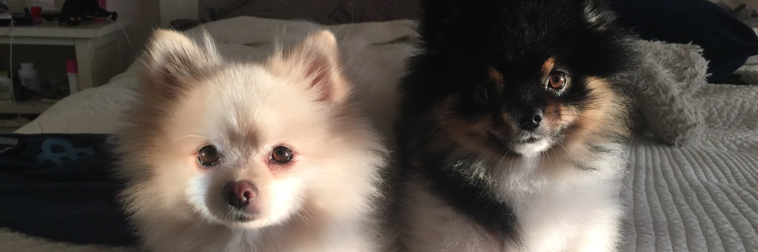 opdeebee's profile banner image