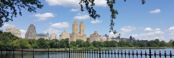 IEspelta Profile Banner