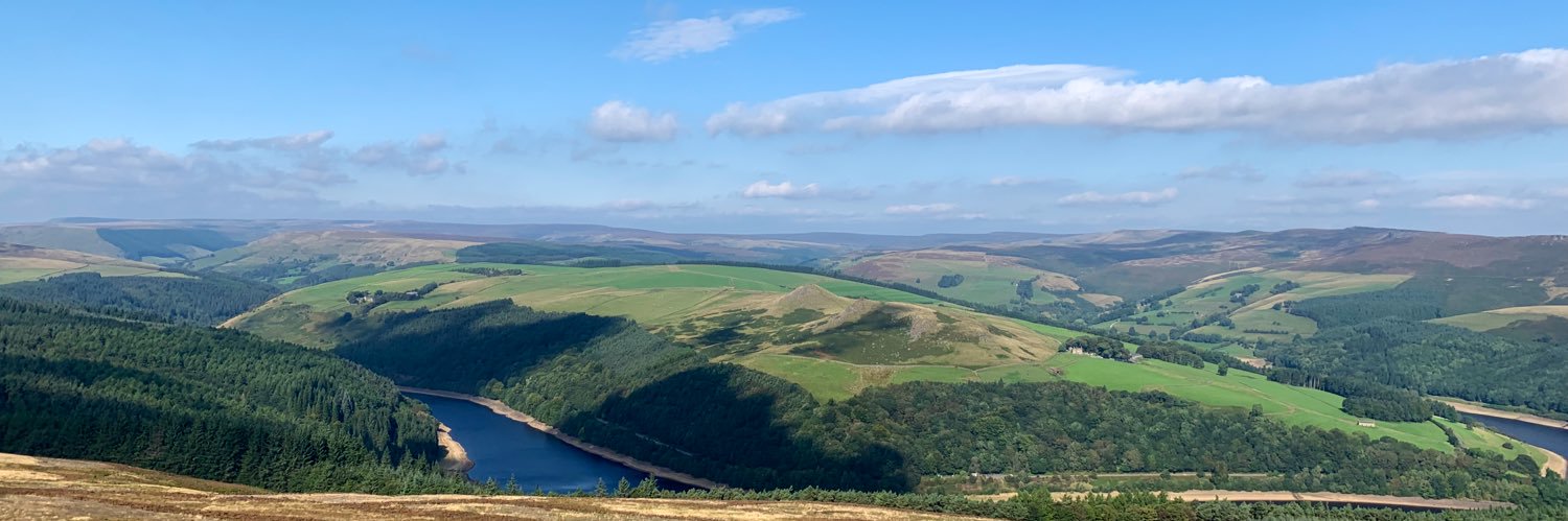 Miles Williams banner