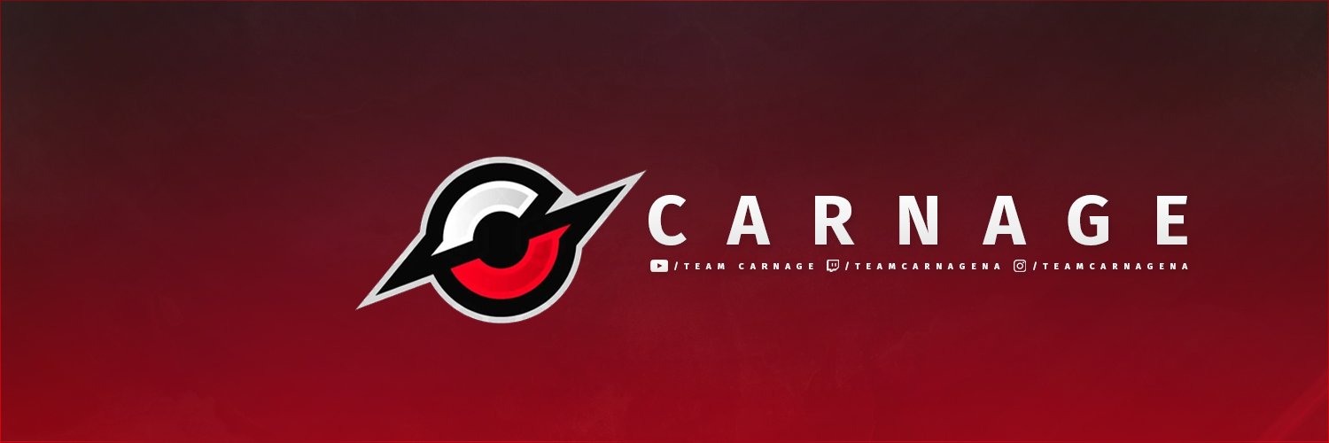 Team Carnage banner