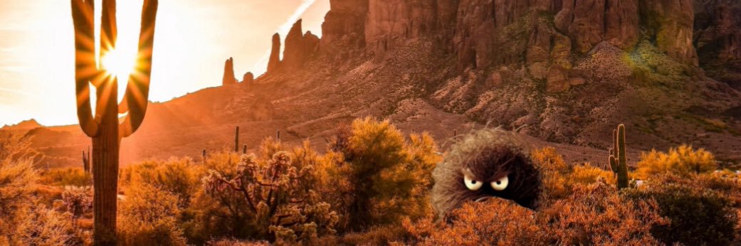 Innocent Tumbleweed's banner