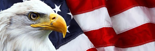 nofreecatnip Profile Banner