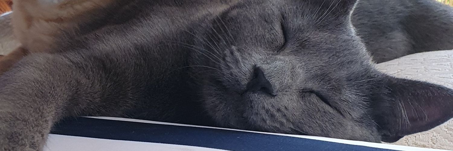 gumer10's profile banner image