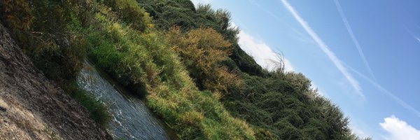 DOMER Profile Banner