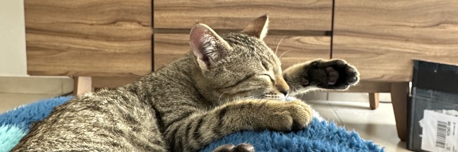 Lexi_TM's profile banner image