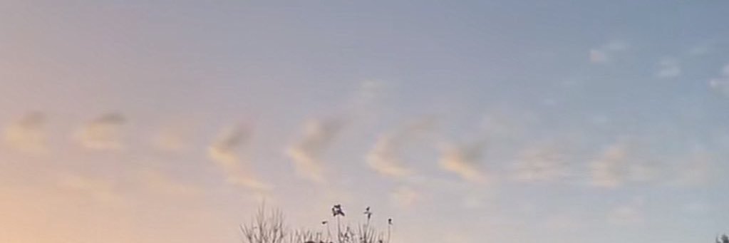 Nora🌙 banner