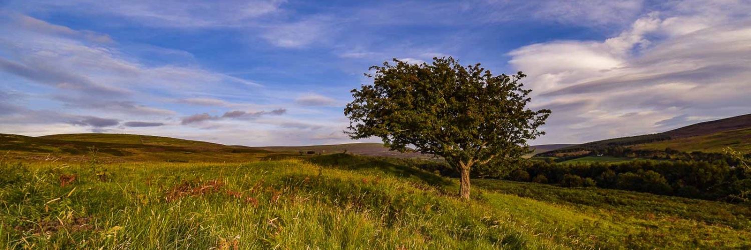 longbyres's profile banner image