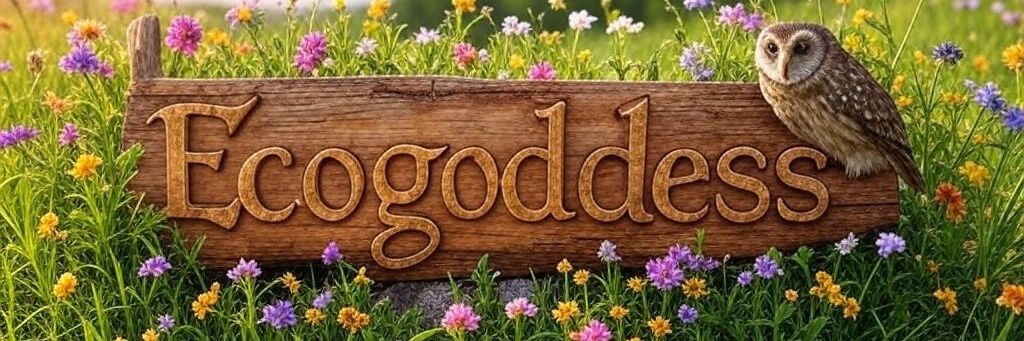 Ecogoddess ✨️'s banner