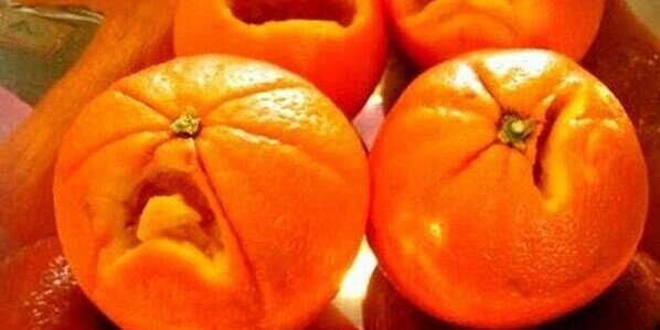 SeayWorld_'s profile banner image