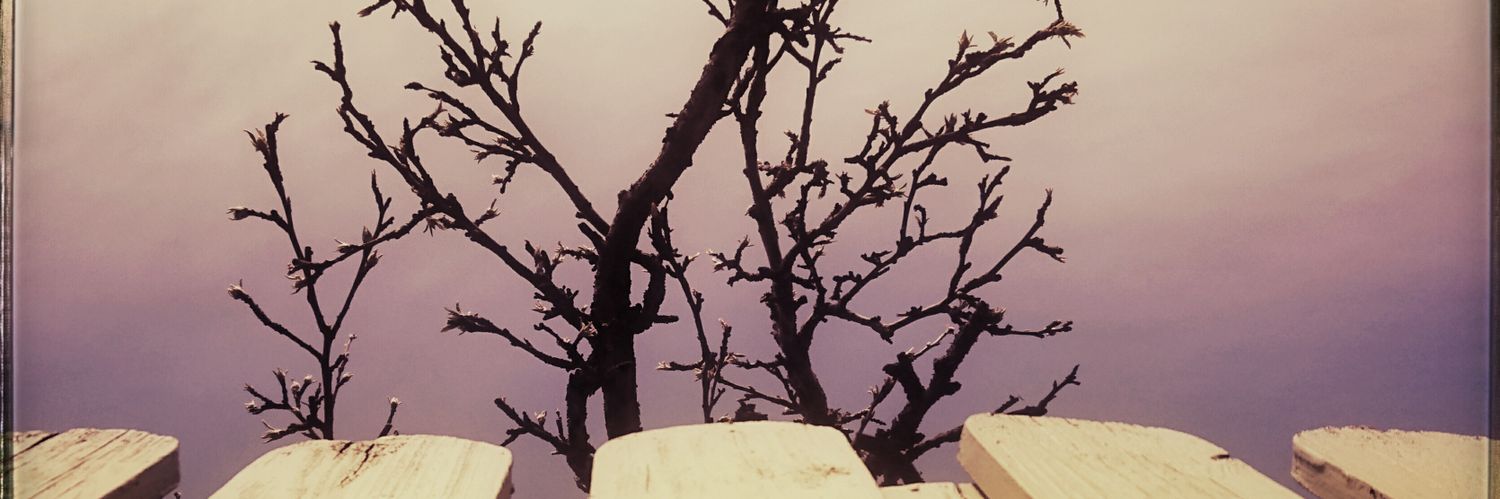 Advaitins's profile banner image