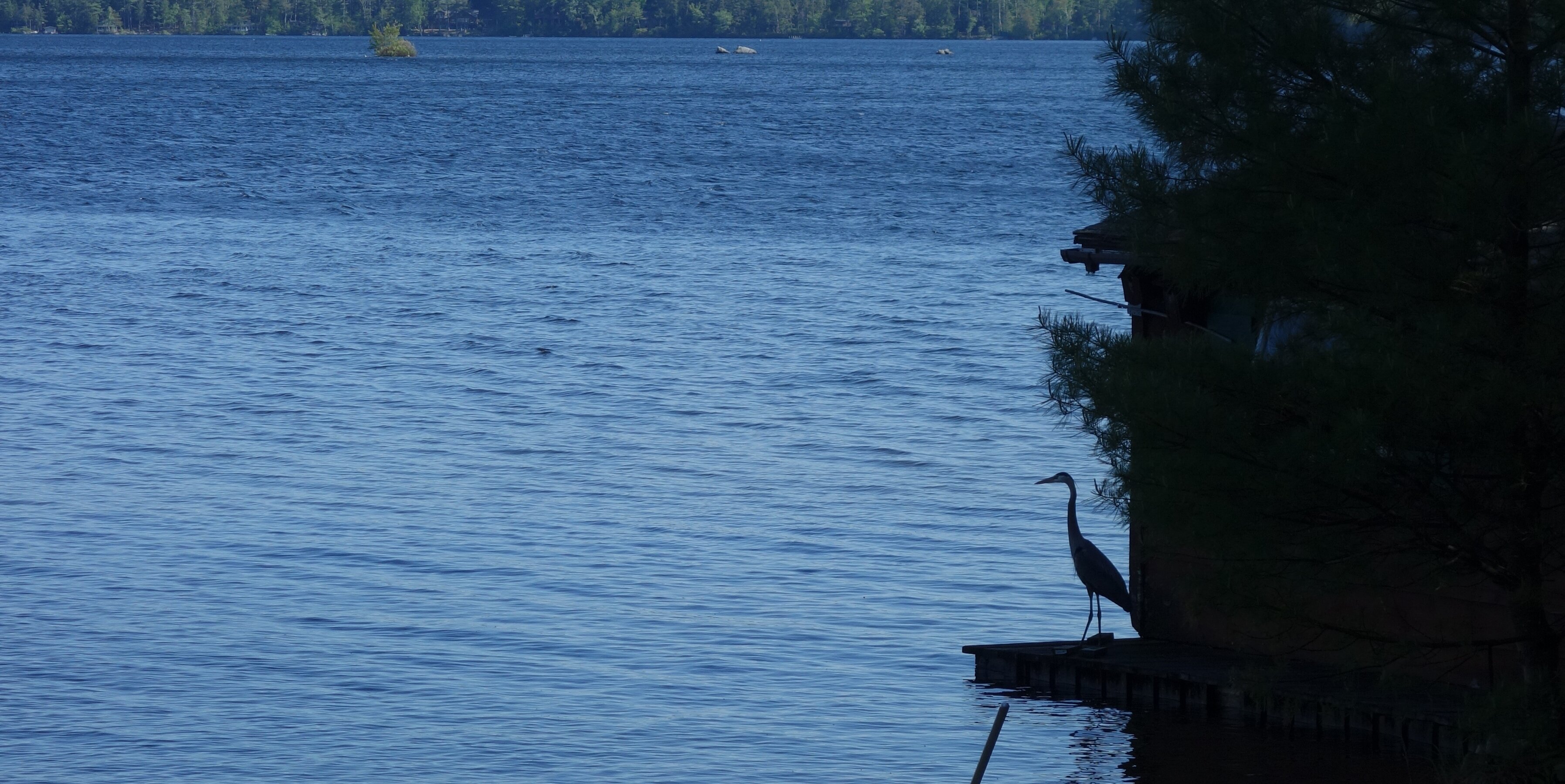 TeamSummerFun's profile banner image