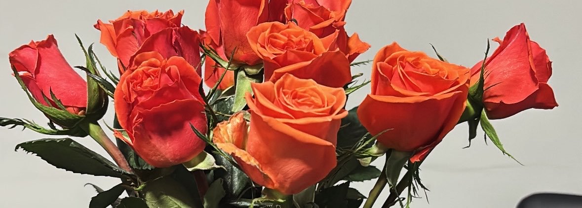 Airdnat__'s profile banner image