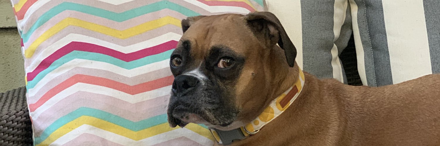 mandyld's profile banner image