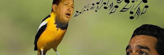 Progredumbre banner