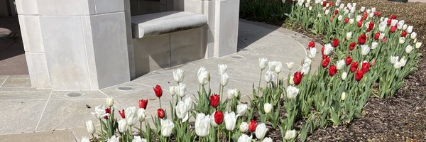 simonejmelvin Profile Banner