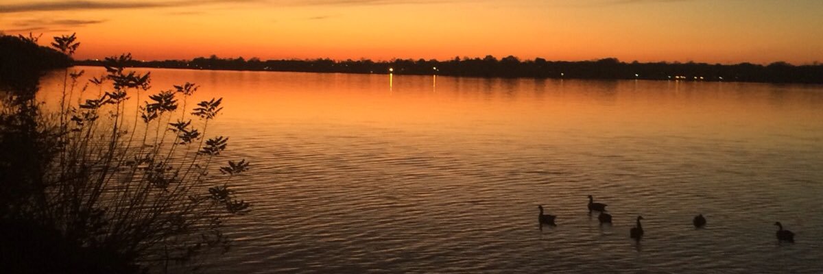 robertsegway's profile banner image
