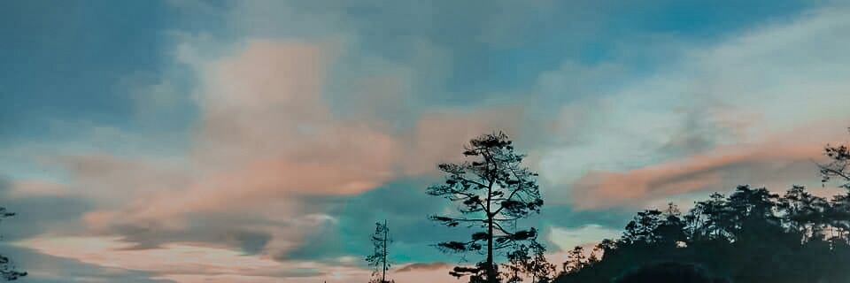 _DiemDiem's profile banner image