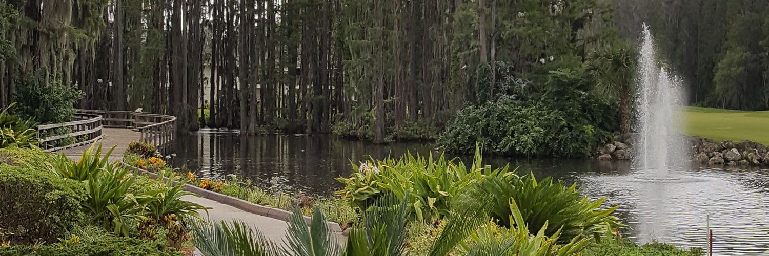 taleese's profile banner image