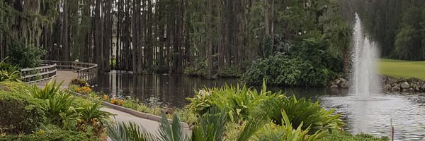 taleese Profile Banner