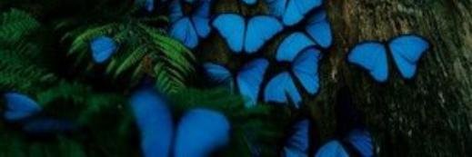 margeU87's profile banner image